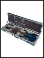 Cases & Bags 