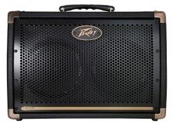 Peavey Ecoustic E208