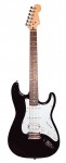 Vineyard Stratocaster V-ST21 