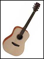 Dreadnought guitars