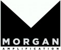 Morgan Amplification