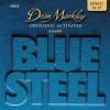 Dean Markley Blue Steel Acoustic 