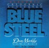 Dean Markley Blue Steel Electric 7-String 