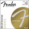 Fender 70 Akustik Saiten 