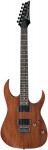 Ibanez RG421 