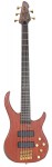 Peavey Cirrus 5-String 