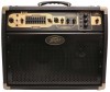 Peavey Ecoustic E110 