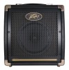 Peavey Ecoustic E20 