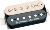 Seymour Duncan Blackouts Coil Pack 