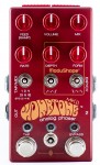 Chase Bliss Audio Wombtone MKII 