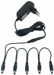 Rockpower NT 50 EU Combo Pack 