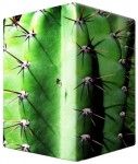 Voggenreiter VOLT Cajon Cactus Cube 