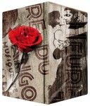 Voggenreiter VOLT Cajon Tango Rose 